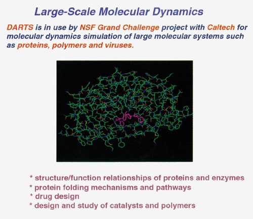 Molecular dynamics application